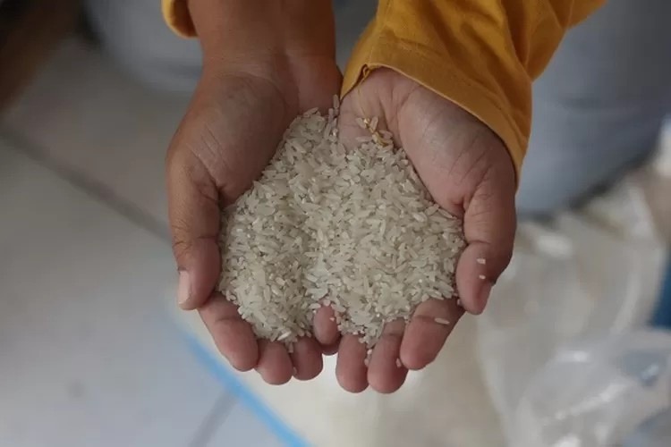 Beras Oplosan Diselidiki, Kejagung Tindak Atas Arahan Prabowo